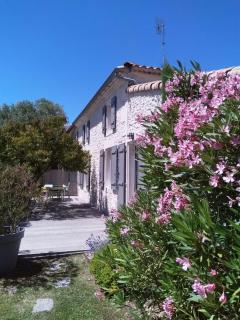La maison charentaise - Médis - 9