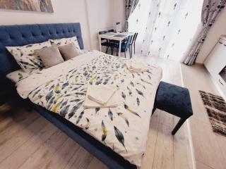 Mirvana Apartments Allure Studio - Timişoara - 8