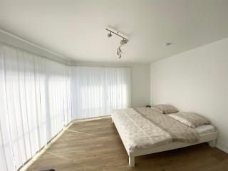 Modern One Bedroom + Bathroom Apartment, 10 min from Basel City - Grenzach-Wyhlen - 2