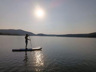 Lake House Surduc - Fîrdea - 8