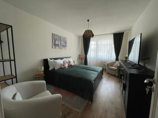 Apartament A&A - Gura Humorului - 9