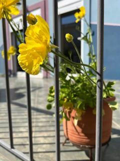 Vasiliki's house - Amarynthos - 9