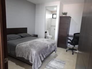 New Modern Condo with Air-condition - Zapotlanejo - 2