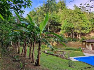 Chácara em Nova Friburgo (espaço inteiro) - Nova Friburgo - 8