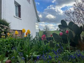La maison de Lili proche d'Aurillac - Prunet - 5