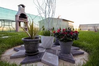 Biama House - Costinesti - 6