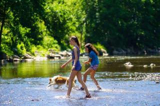 Cosy Chalet Vue & Nature Durbuy - 4