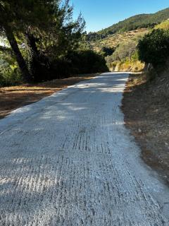 Villa Evelyn - Stafylos - 5