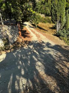 Villa Evelyn - Stafylos - 8