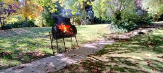 Torcazas - San Carlos de Bariloche - 5