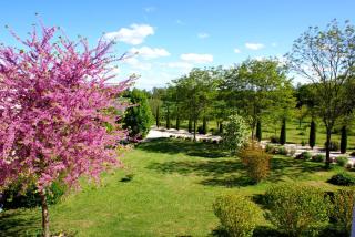 Le Domaine des Doucins & Spa, Gîte 4 étoiles, 10 minutes de Jonzac piscine et spa - Fontaines-dʼOzillac - 4