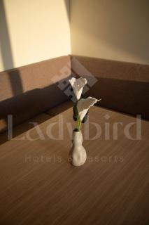 Ladybird - Veranda Highline - 2