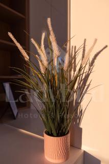 Ladybird - Veranda Highline - 4