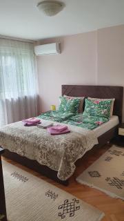 Apartman Centar - Bijeljina - 0