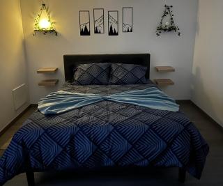 Ferreira House - Seia - 6