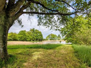 Maison Charmante avec Étang Privé au Cœur du Berry - FR-1-591-86 - 6