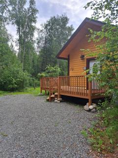 Talkeetna Fireweed cabin 2 - 1