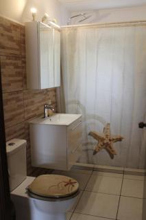 Roadrunner-Bonaire - 5