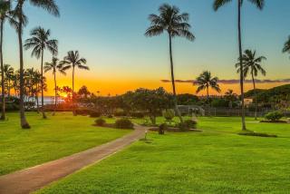 E111 Ground Floor Poolside Patio - Koloa - 8