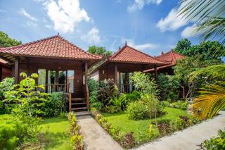The Parnas - Nusa Lembongan - 0