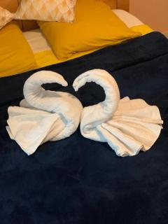 Le Cocon de l'Oranger - 1