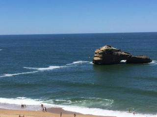 superbe studio MIRAMAR plein sud, pieds dans l'eau - Biarritz - 0