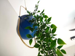 TRION Studio 4 PAX Teneighth - 5