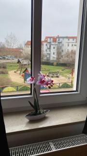 FeWo "Franzi" 5 Personen, zentrale Lage, Parkplatz - Dessau - 5