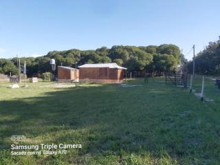 Mar del Plata- Playa Chapadmalal- Finca Viento Norte UNA CABAÑA HASTA 5 HUESPEDES Y UN DORMI CON BAÑO PRIVADO ATRAS HASTA 2 HUESPEDES - Chapadmalal - 9