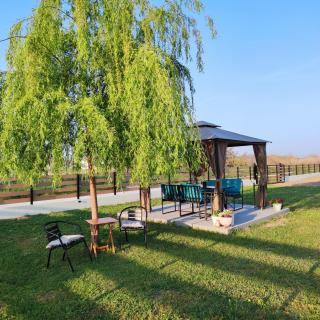 Willow Home - Chaïdeftón - 7