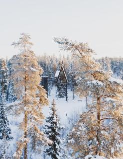 PAN Treetop Cabins - 7