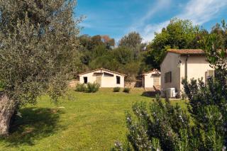 Bolgheri Countryhouse - Bolgheri - 5