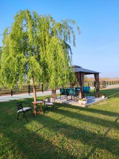 Willow Home - 5
