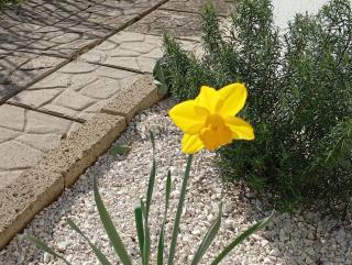 B&B Villa Alma - San Costanzo - 3
