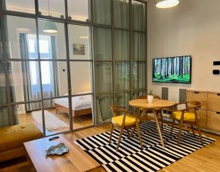 Central Chic - Cluj-Napoca - 9