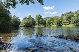 Schwarzwald-Traum mit Pool und Sauna - Unterkirnach - 4