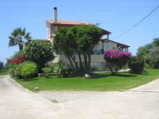 JAKARANDA - Argostoli - 3