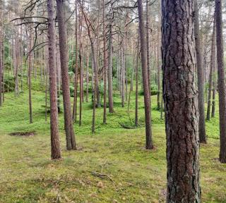 Holiday House BURSZTYN - Nature, Relax & Terrace by Noclegi Renters - Kołczewo - 3