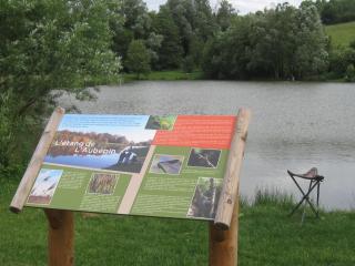 Chez Odette et Ricardo Meximieux - Pérouges - Meximieux - 2