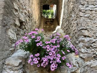 Studios Al Castello dei Limoni - Limone sul Garda - 5