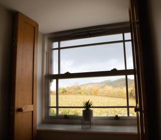 Vineyard Country Cottage - Llanerch-Aeron - 8