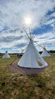 Alpaka-Tipi-Park - Bad Salzungen - 8