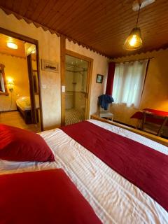 Hotel Le Ferraillon - Abondance - 4