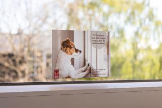 Milling Hotel Mini 11 - Odense - 8