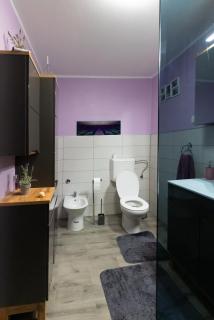 Roman - Ližnjan - 2