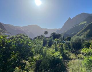 Finca Exclusiv LA MAreta - Agaete - 4