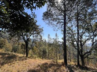 The Umri Lansdowne, 4-bedroom homestay - Lansdowne - 3