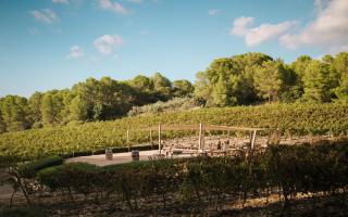 Finca Serena Mallorca, Small Luxury Hotels - Montuiri - 3