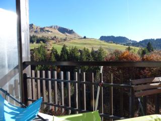 Studio Chinaillon Grand Bornand - Le Grand-Bornand - 0