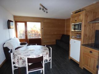 Studio Chinaillon Grand Bornand - Le Grand-Bornand - 8